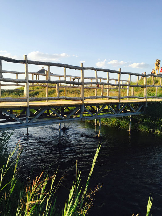 Natural beauty of Gaojiahu wetland in Xinjiang's summer