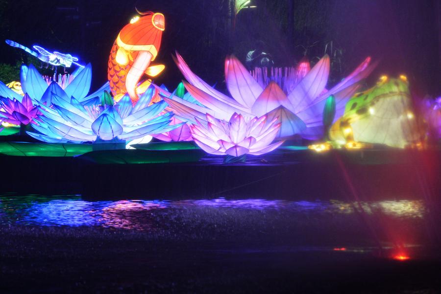 Mid-Autumn festival lights shine at Singapore's Gardens by the Bay