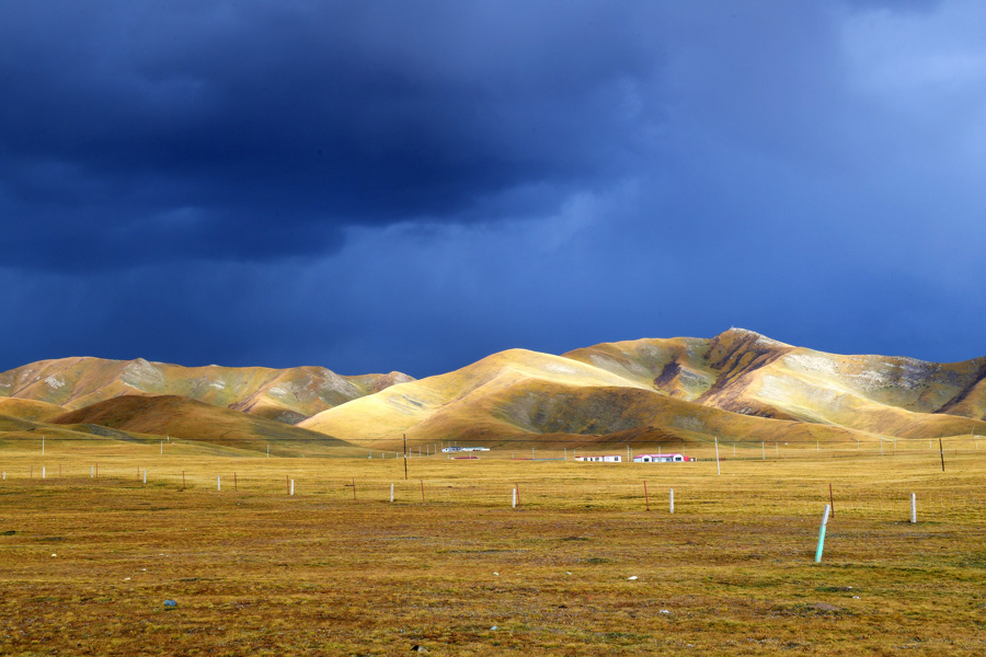 Glamorous Qinghai enchants in autumn