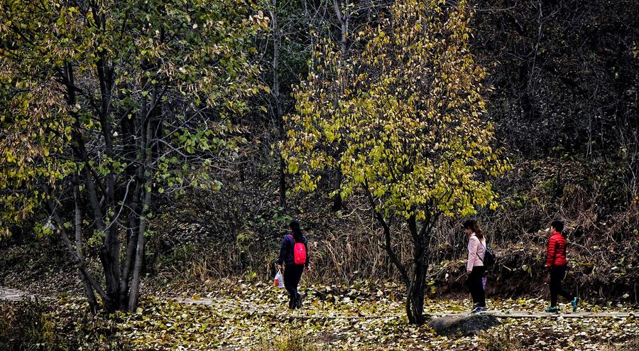 Autumn scenery of Yudu Mountain in Beijing