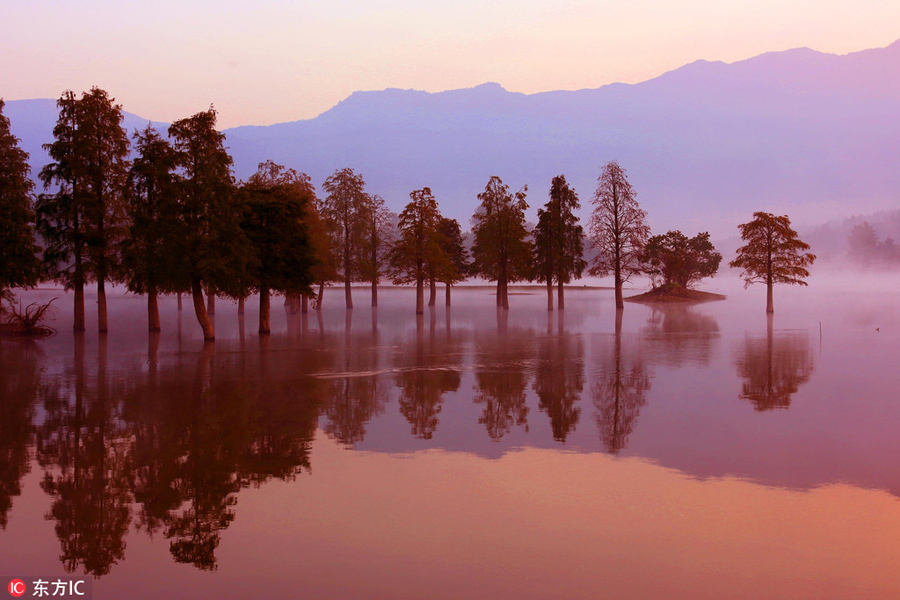 Morning mist reveals beauty of Huangshan Mountain