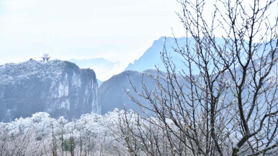 Rime turns Tianmen Mountain into winter wonderland