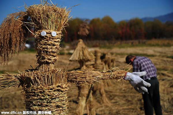 Festival turns scarecrows into Minions, SpongeBob