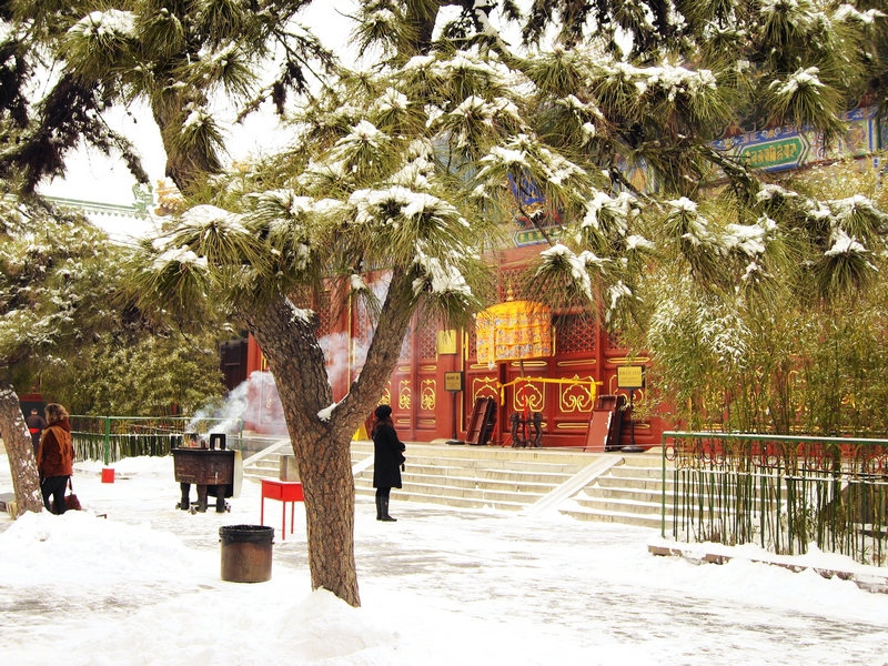 Snow-covered Lama Temple