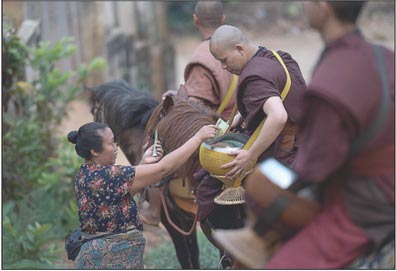 Thai temple fights addiction with horses and boxing