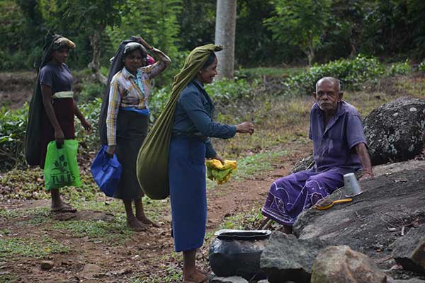 The women of the hills who serve you tea