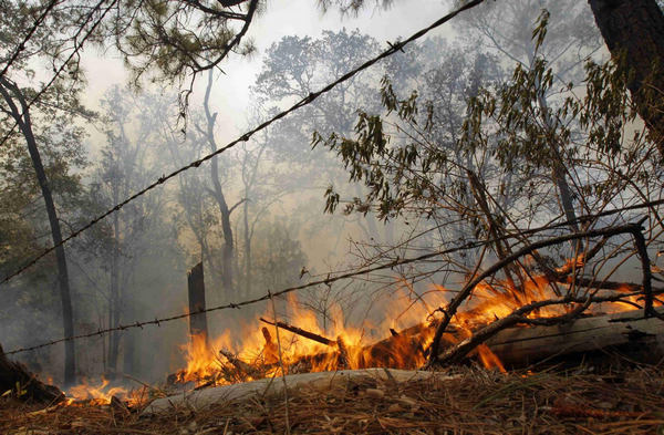 2 dead in Texas wildfires, homes destroyed