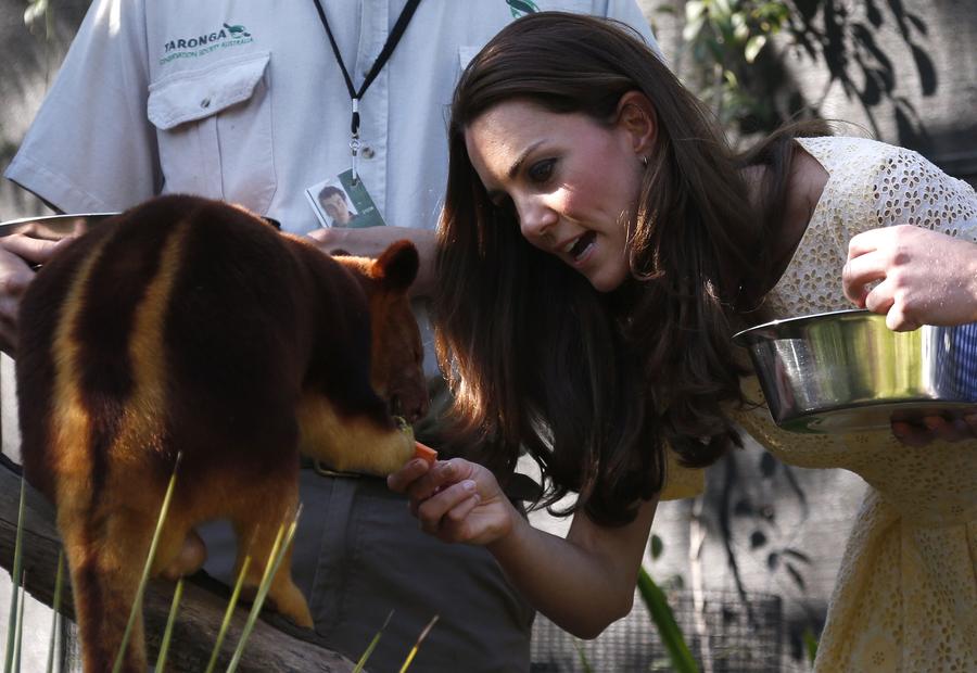 William, Kate and George tour Sydney's Taronga Zoo