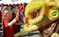 Confucius Institute Day celebrated in Rome