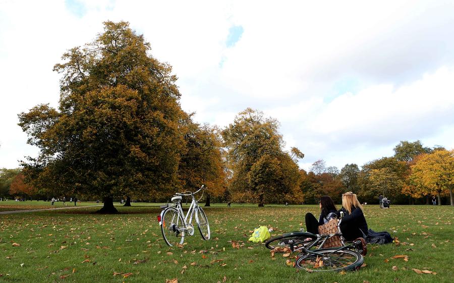 Glance of Central London after autumn rains