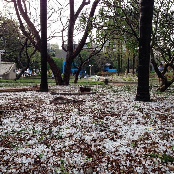 Storm cuts power, lifts roofs in Australian city