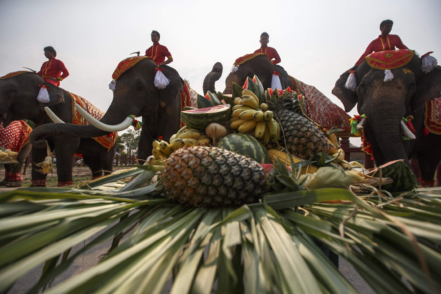 Thais pay homage to their national animal