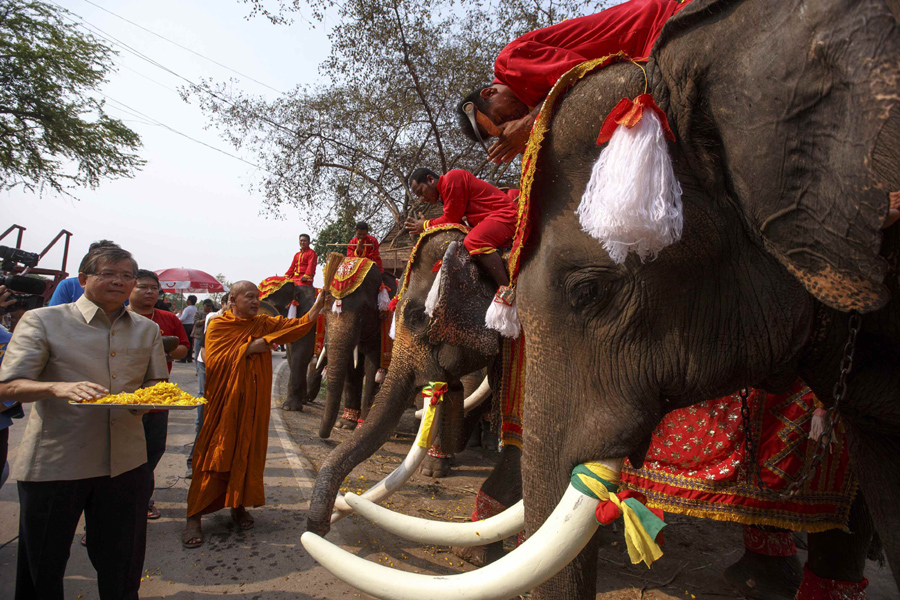 Thais pay homage to their national animal