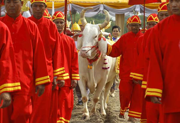 Annual ploughing ceremony heralds rice-planting season in Thailand