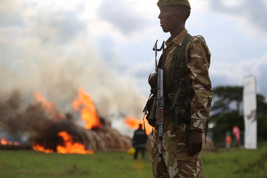 Kenya burns ivory in stand against illegal trade