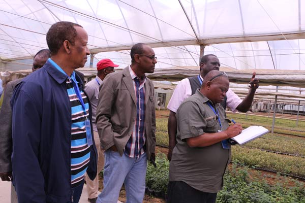 African agricultural officials visit China's countryside