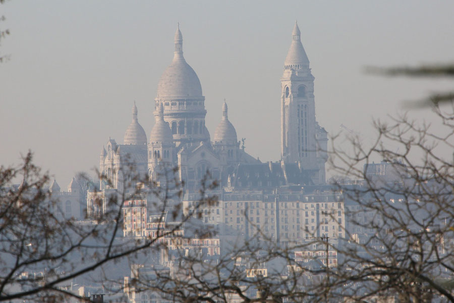 Paris limits vehicle use to fight pollution