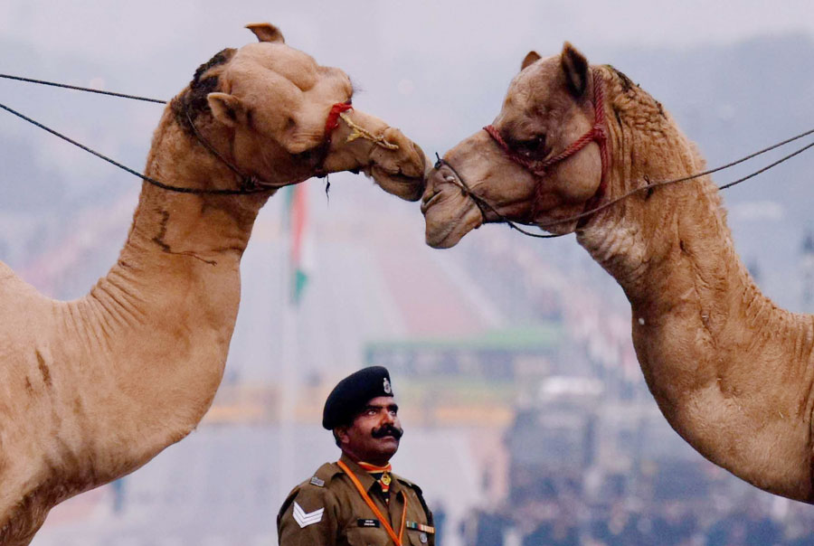 Rehearsals wrap-up in India for Republic Day parade