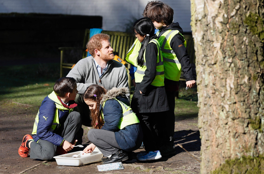 Prince Harry helps students grow 'Queen's canopy'