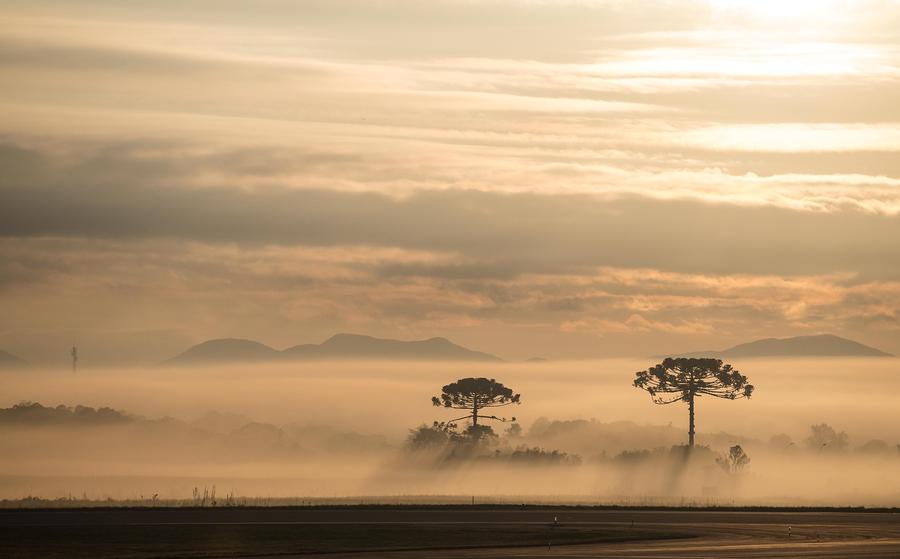 The world in photos: June 12-18