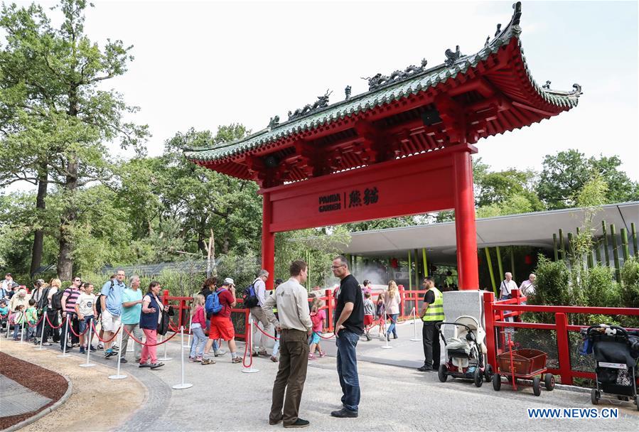 People visit pandas from SW China at Zoo Berlin