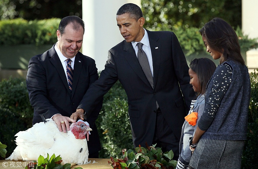 Thanksgiving story: US presidents and pardoned turkeys