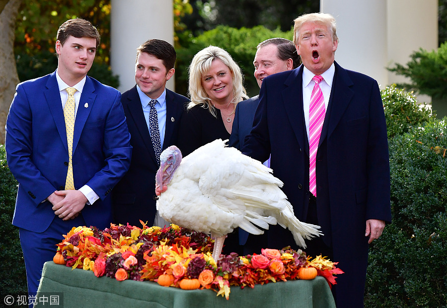 Thanksgiving story: US presidents and pardoned turkeys