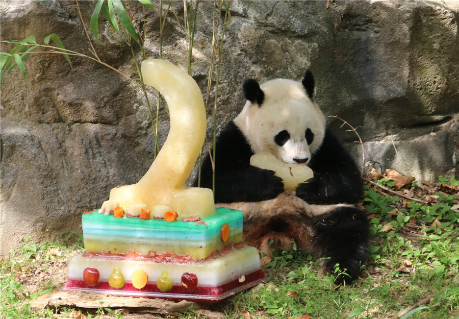 Giant panda Bao Bao celebrates two-year birthday