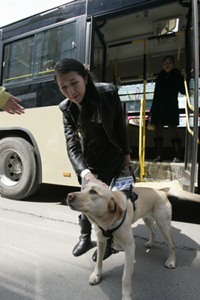 導(dǎo)盲犬，失明者的“眼睛”