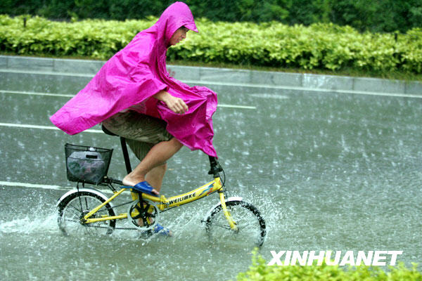 暴雨過后 街道成澤國[組圖]