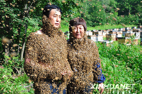 農(nóng)民夫婦變“蜂人”[組圖]