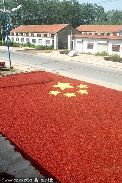 山東郯城：紅椒拼國(guó)旗 情意火辣辣