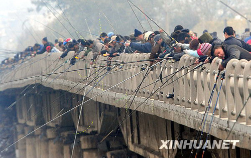 “漁翁”垂釣洛陽橋